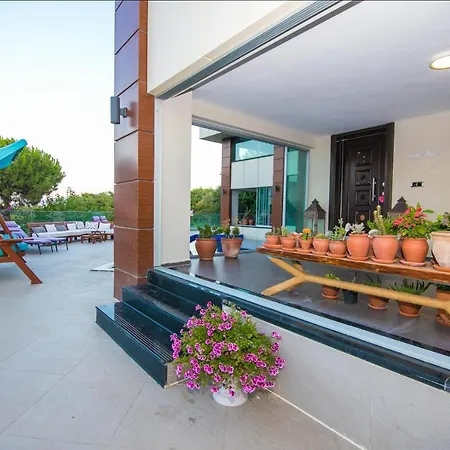 Asi Villa